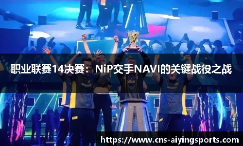 职业联赛14决赛：NiP交手NAVI的关键战役之战